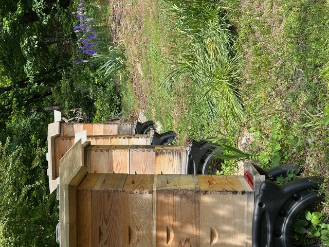 Row of beehives surrounded by wildflowers at the apiary